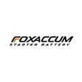 Купить Fox Accum